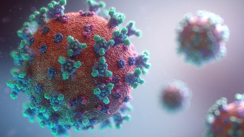 Read more about the article Impactos da pandemia de COVID-16 no dia a dia do Centro Médico Fazendinha?
